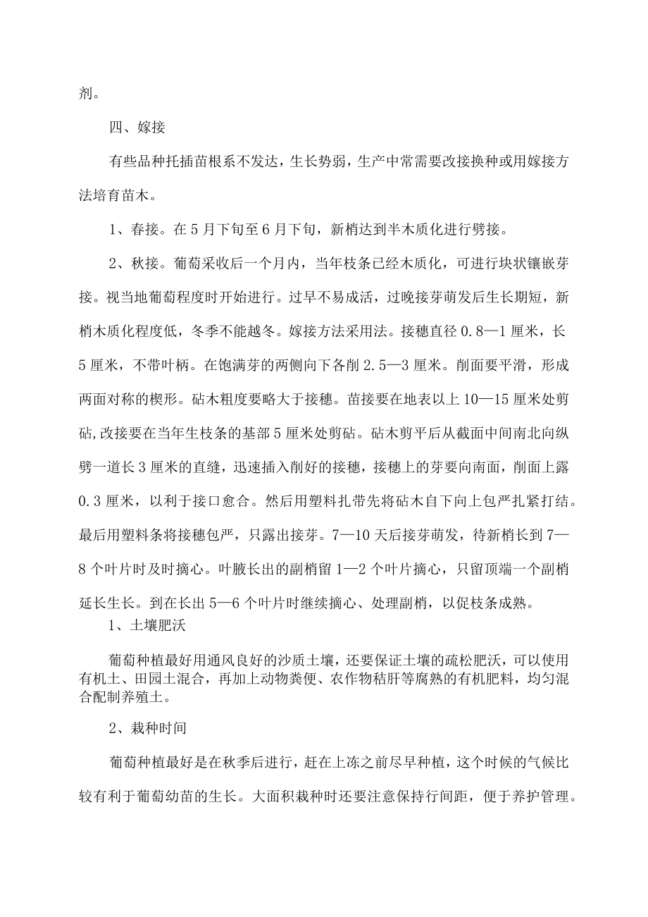 种植葡萄技术.docx_第3页