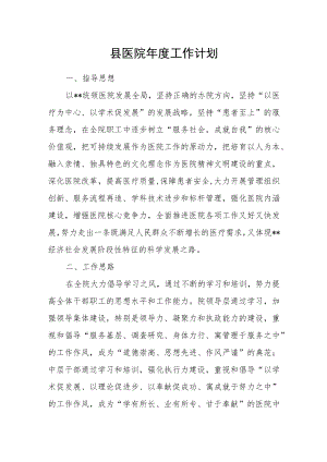 县医院年度工作计划.docx