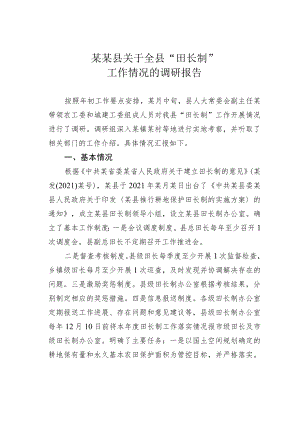 某某县关于全县“田长制”工作情况的调研报告.docx