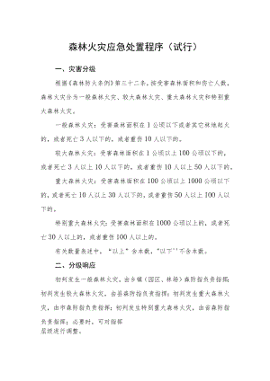 森林火灾应急处置程序（试行）.docx
