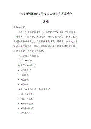 市妇幼保健院关于成立安全生产委员会.docx