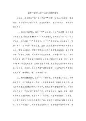 领导干部能上能下工作总结供借鉴.docx