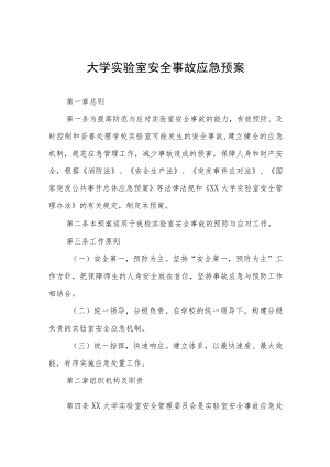 大学实验室安全事故应急预案.docx