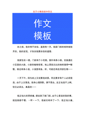 关于小草的初中作文.docx