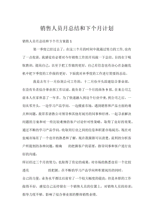 销售人员月总结和下个月计划.docx