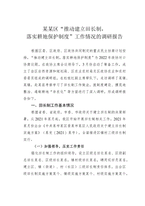 某某区“推动建立田长制落实耕地保护制度”工作情况的调研报告.docx