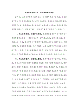 培养选拔年轻干部工作汇报材料供借鉴.docx