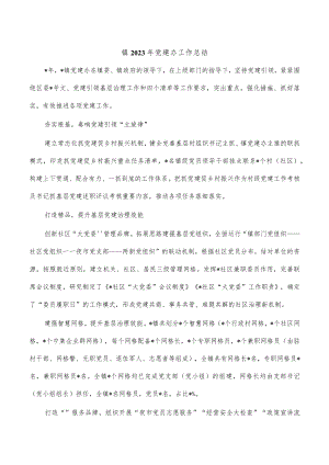 镇2023年党建办工作总结.docx
