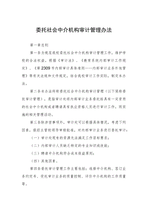 委托社会中介机构审计管理办法.docx
