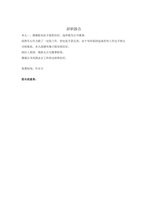 董事辞职报告.docx