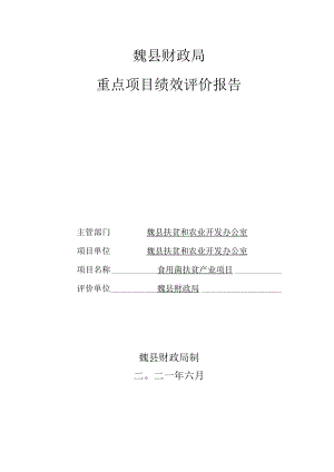 魏县财政局重点项目绩效评价报告.docx