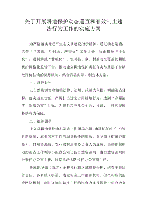关于开展耕地保护动态巡查和有效制止违法行为工作的实施方案.docx