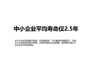 中小企业平均寿命.ppt