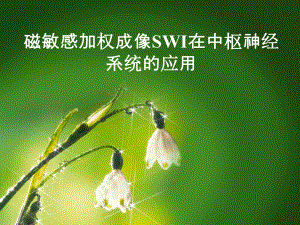 SWI的临床应用.ppt