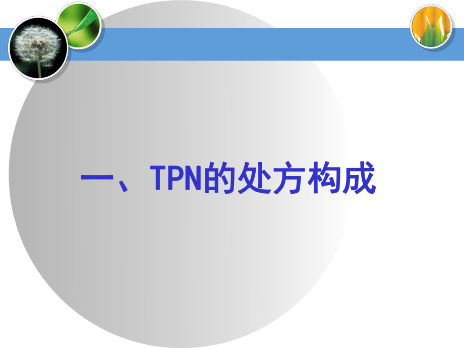 TPN的配置和临床应用.ppt_第3页