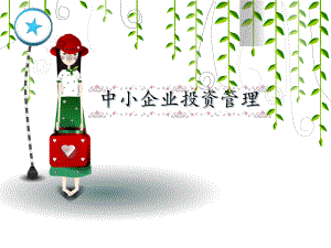 中小企业投资管理.ppt