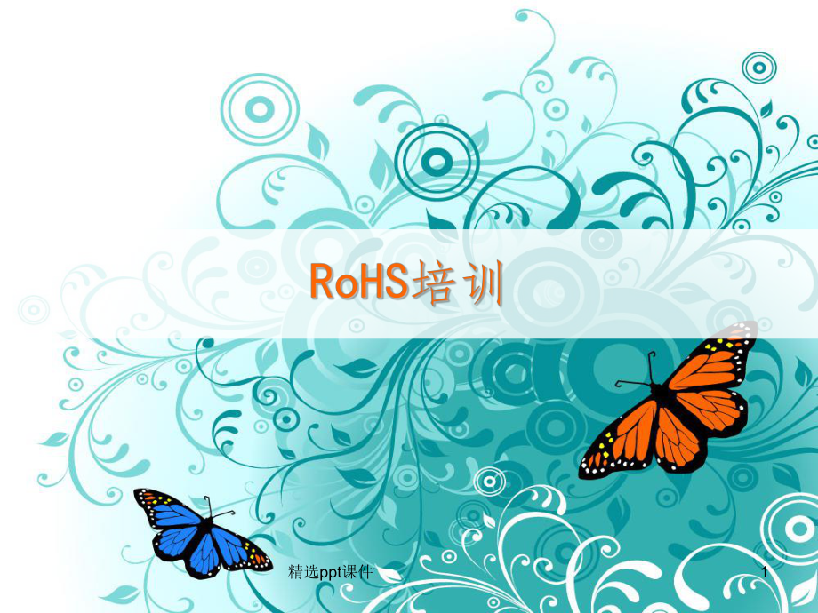 ROHS培训公司内部培训资料.ppt_第1页