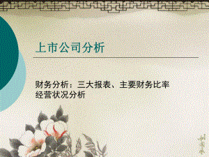 上市公司分析2.ppt