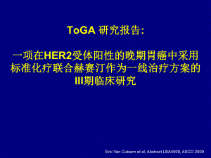 ToGA研究报告.ppt