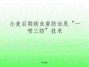 《小麦病虫害防治》.ppt