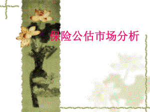 保险公估市场分析.ppt