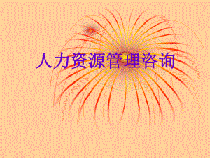 人力资源管理咨询.ppt