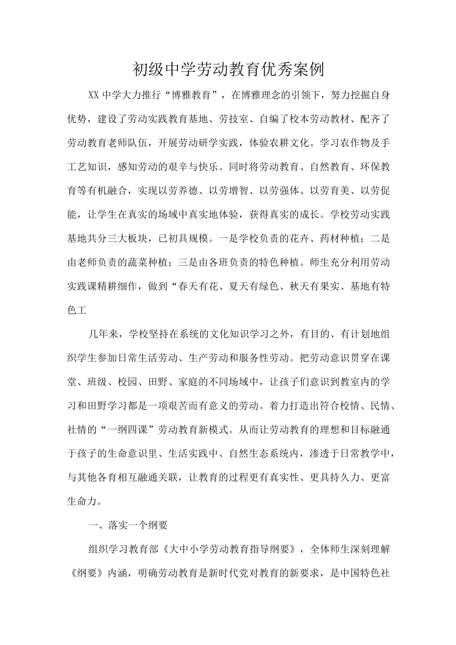 初级中学劳动教育优秀案例.docx_第1页