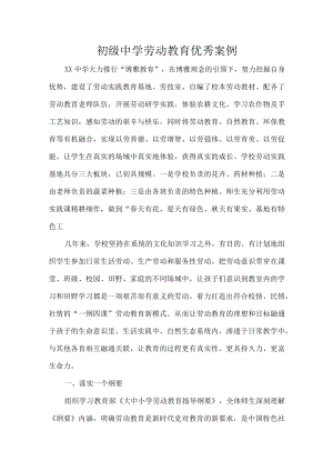 初级中学劳动教育优秀案例.docx