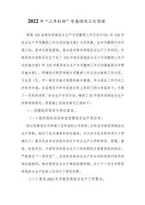 2022年“三年行动”开展情况工作总结.docx