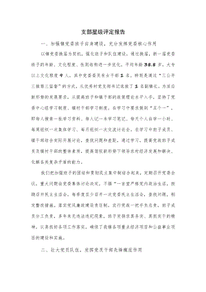 支部星级评定报告.docx