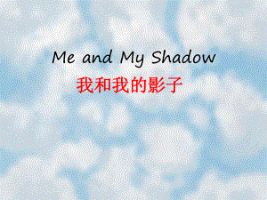 “影子”研究报告.ppt