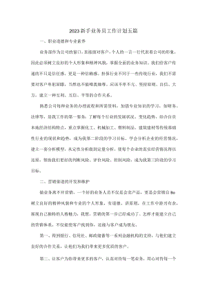 2023新手业务员工作计划五篇.docx