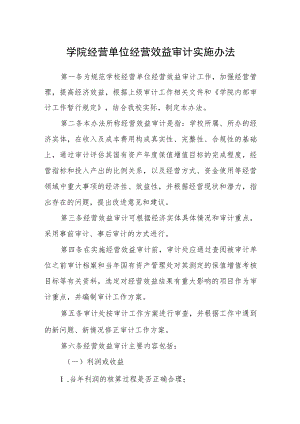 学院经营单位经营效益审计实施办法.docx