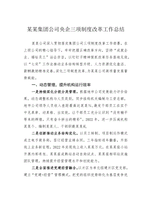 某某集团公司央企三项制度改革工作总结.docx