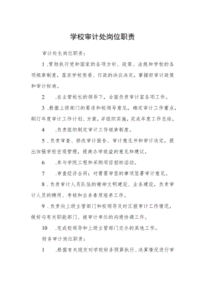 学校审计处岗位职责.docx