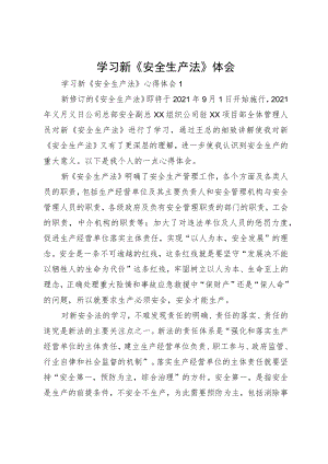 学习新《安全生产法》体会.docx