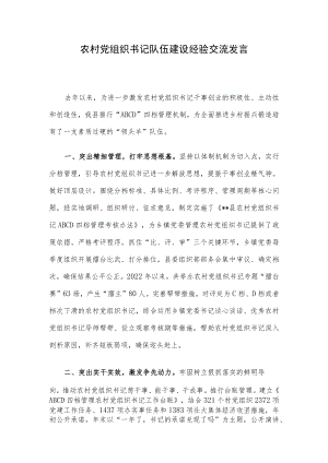 农村党组织书记队伍建设经验交流发言.docx