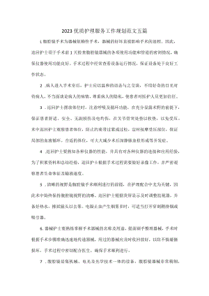 2023优质护理服务工作规划范文五篇.docx