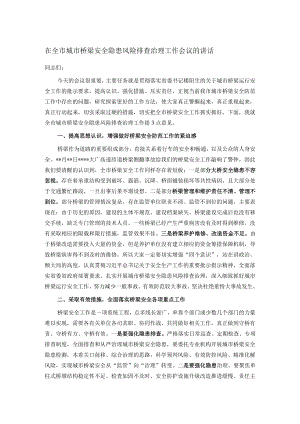 在全市城市桥梁安全隐患风险排查治理工作会议的讲话.docx