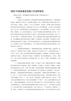 2022年度抓基层党建工作述职报告.docx