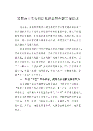 某某公司党委推动党建品牌创建工作综述.docx