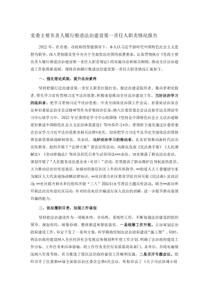 党委主要负责人履行推进法治建设第一责任人职责情况报告.docx