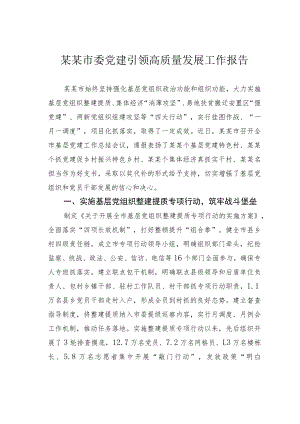 某某市委党建引领高质量发展工作报告.docx