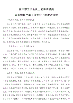 在干部工作会议上的讲话摘要.docx