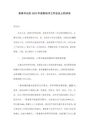 县委书记在2023年县委经济工作会议上的讲话.docx