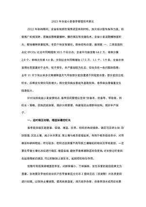 山东2023年全省小麦春季管理技术意见.docx