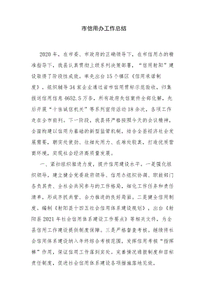 市信用办工作总结.docx