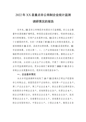 2022年XX县重点非公有制企业统计监测调研情况的报告.docx