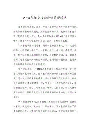 2023兔年央视春晚优秀观后感.docx