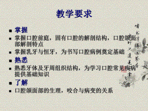 口腔解剖生理学.ppt